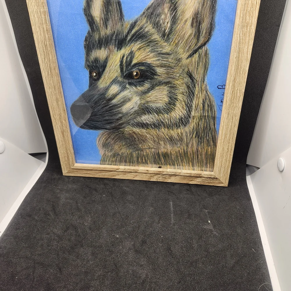 Hand Crafted Framed German Shepherd Colored Pencil Drawing